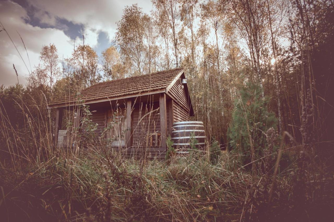 Dworek Ogrodniki, Caloroczny Dom Na Wylacznosc, Basen, Sauna, Las, Staw Rybny, Altana Grillowa, Ognisko, Pianino, Kominek, Piec Chlebowy, Duza Ogrodzona Posesja Tuczna Buitenkant foto