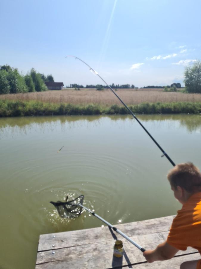 Dworek Ogrodniki, Caloroczny Dom Na Wylacznosc, Basen, Sauna, Las, Staw Rybny, Altana Grillowa, Ognisko, Pianino, Kominek, Piec Chlebowy, Duza Ogrodzona Posesja Tuczna Buitenkant foto