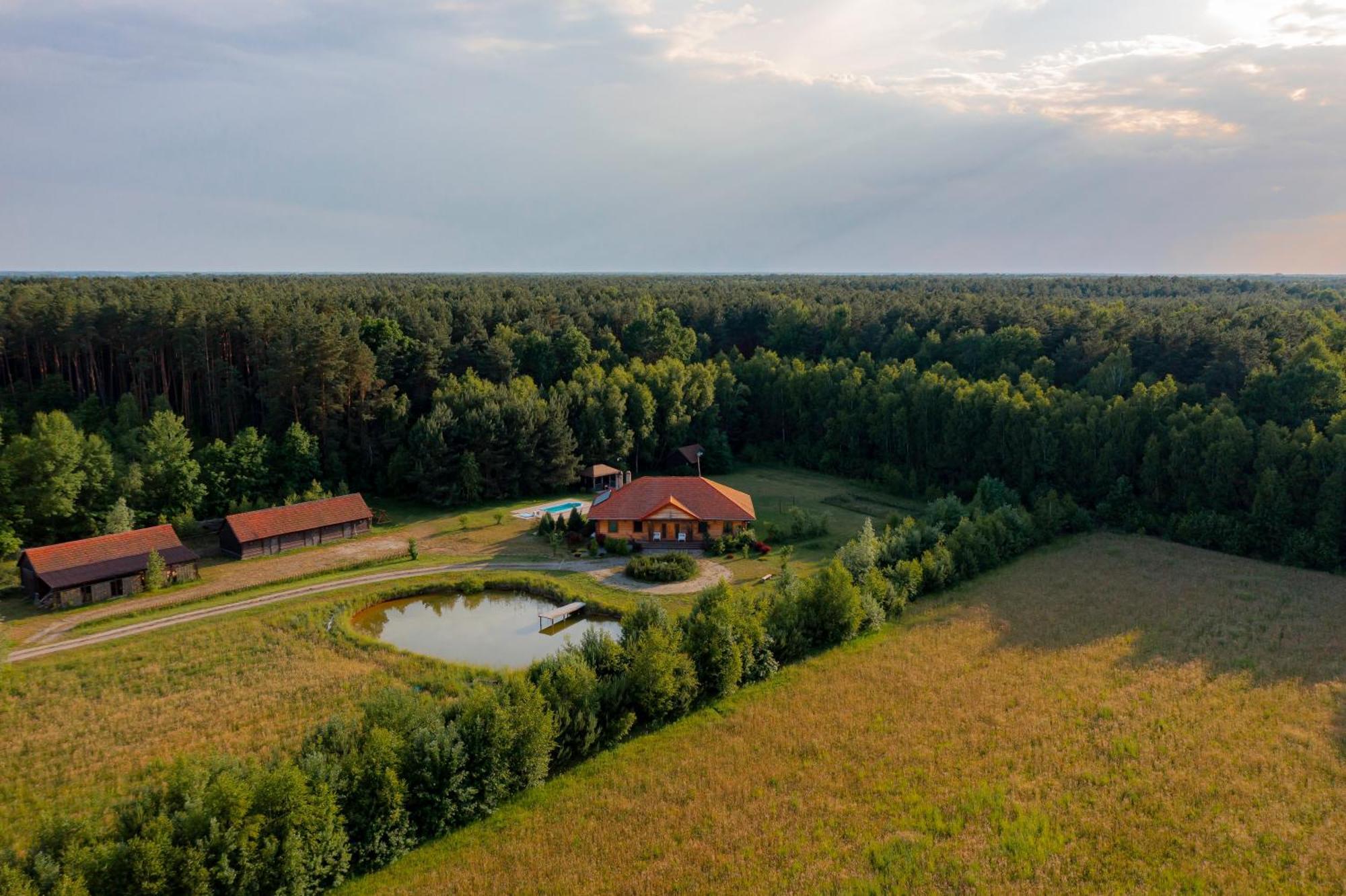 Dworek Ogrodniki, Caloroczny Dom Na Wylacznosc, Basen, Sauna, Las, Staw Rybny, Altana Grillowa, Ognisko, Pianino, Kominek, Piec Chlebowy, Duza Ogrodzona Posesja Tuczna Buitenkant foto