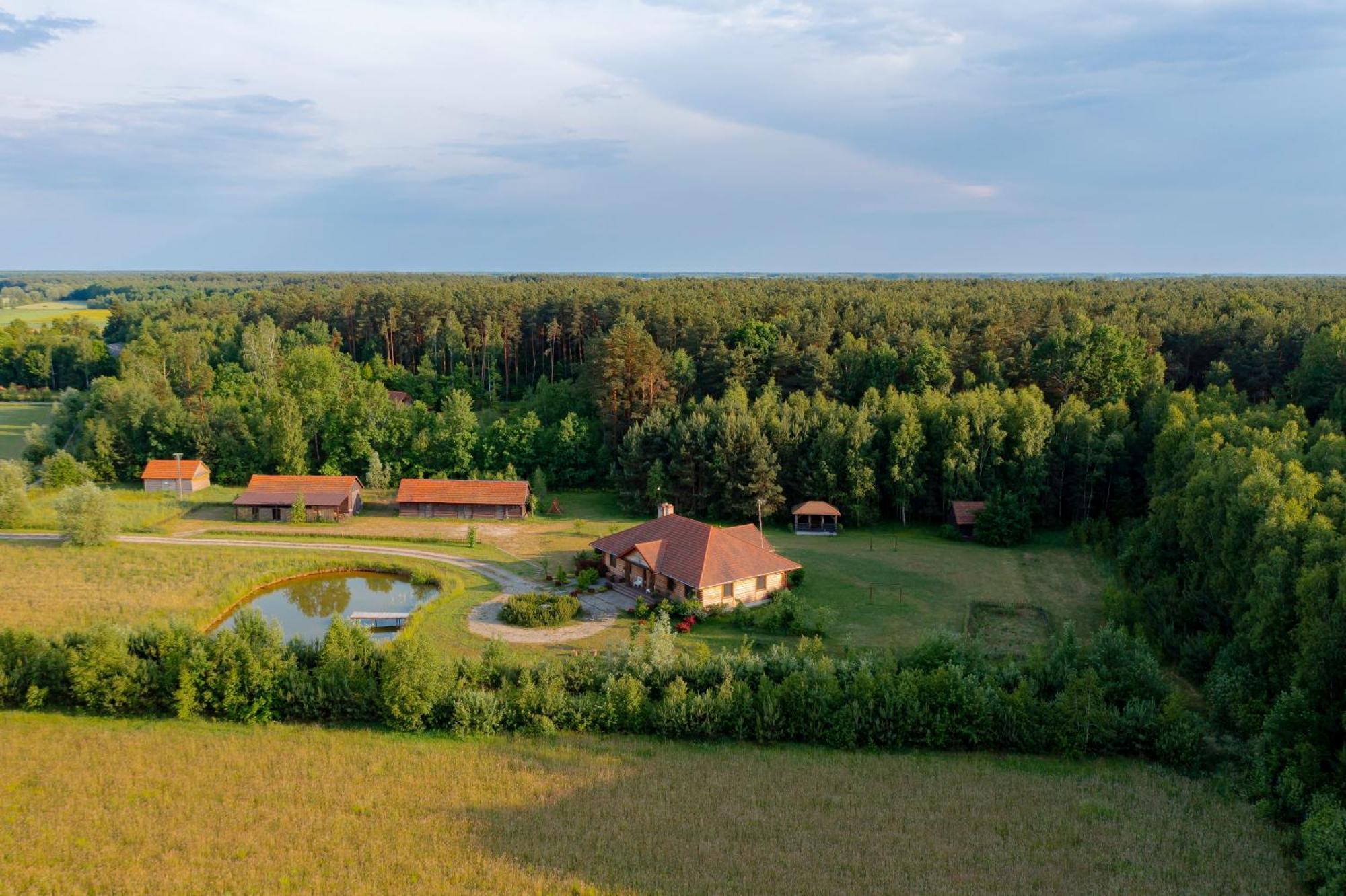 Dworek Ogrodniki, Caloroczny Dom Na Wylacznosc, Basen, Sauna, Las, Staw Rybny, Altana Grillowa, Ognisko, Pianino, Kominek, Piec Chlebowy, Duza Ogrodzona Posesja Tuczna Buitenkant foto